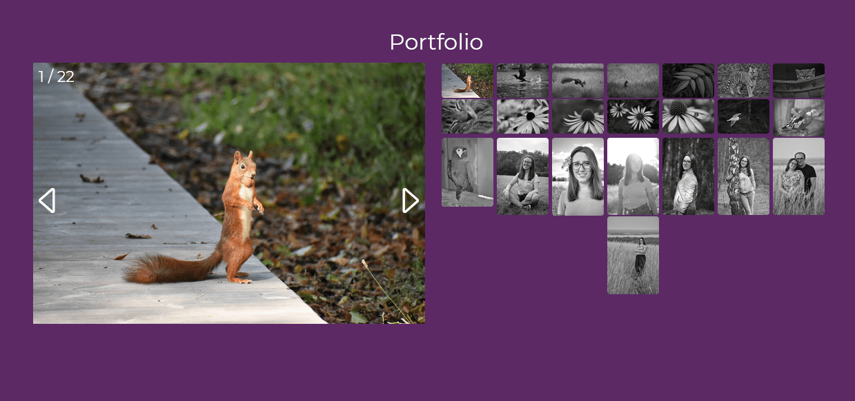 DancingLens Photography Portfolio (ongoing)