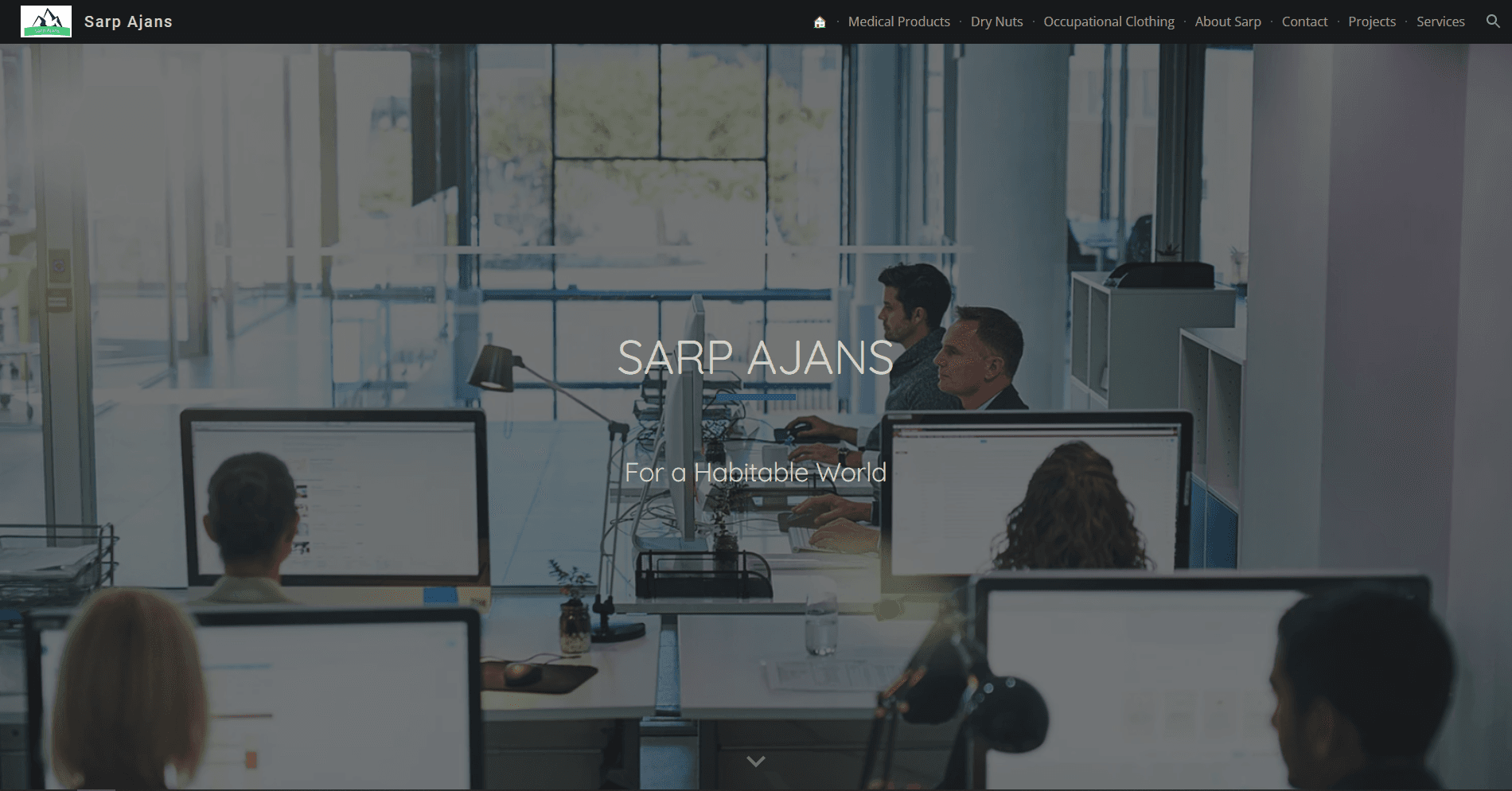 Consultancy company website (ongoing)